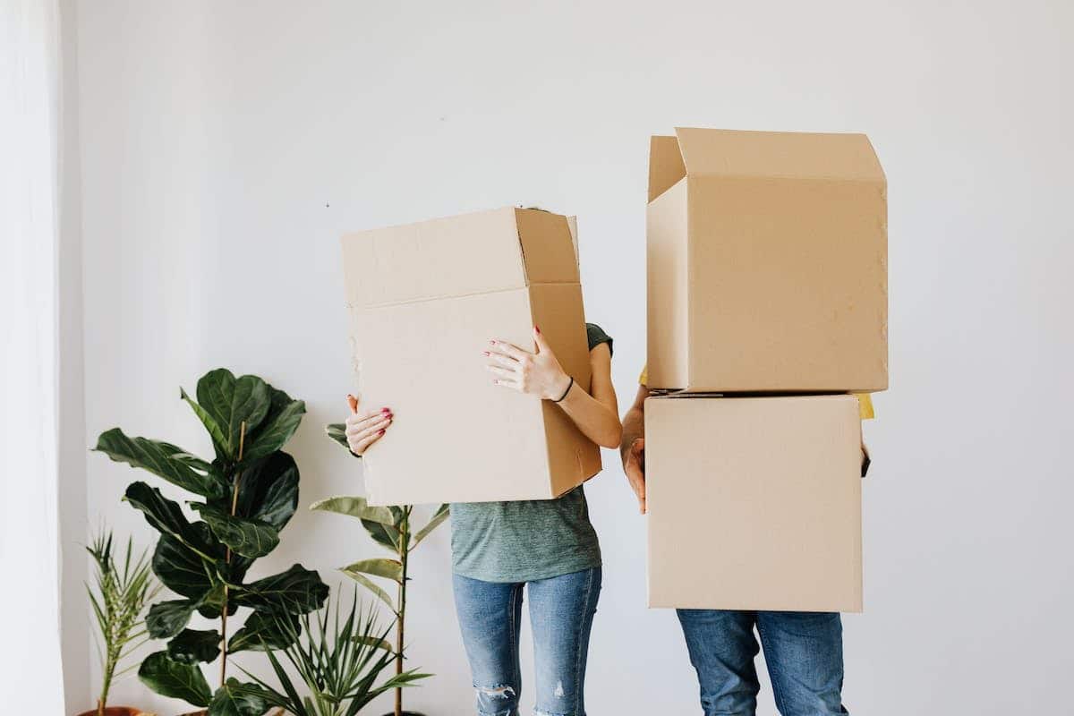 immobilier locatif