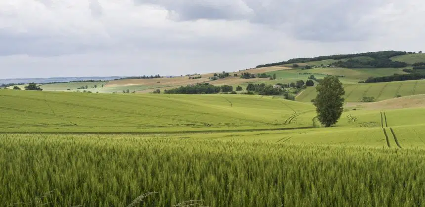 titre de propriété